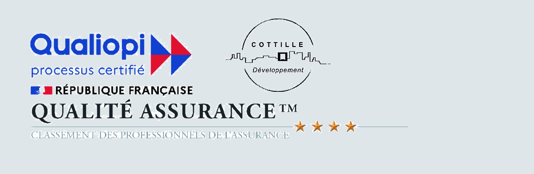 L'animateur du programme de professionnalisation Qualité Assurance™ certifié Qualiopi