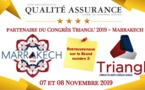 2019 Comité pédagogique TRIANGL'